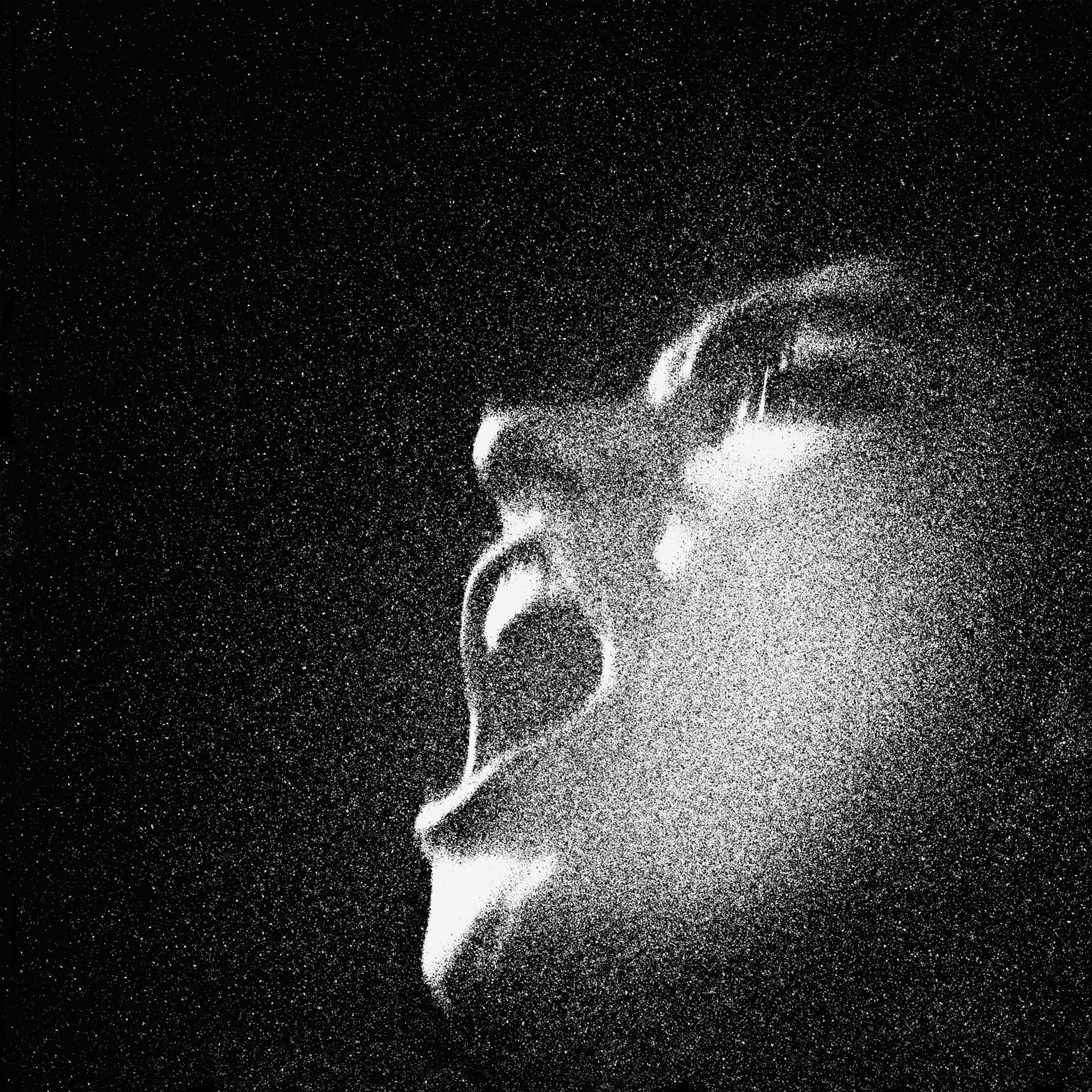 oiseaux-tempete-x-frederic-d.-oberland-al-an