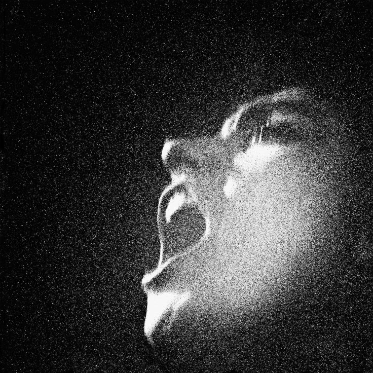 oiseaux-tempete-x-frederic-d.-oberland-al-an